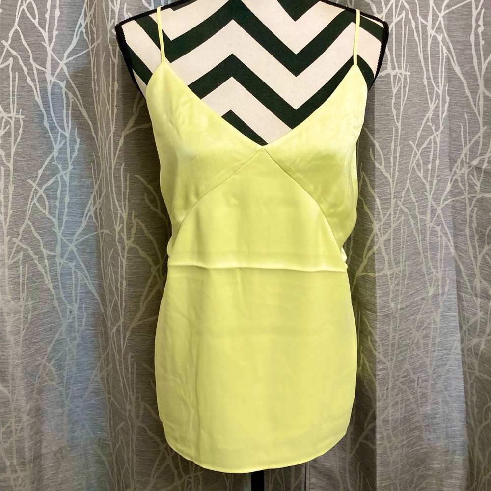 Express Satin Seamed V-neck Crossed Back Downtown Cami